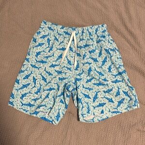 chubbies blue shark swim trunks